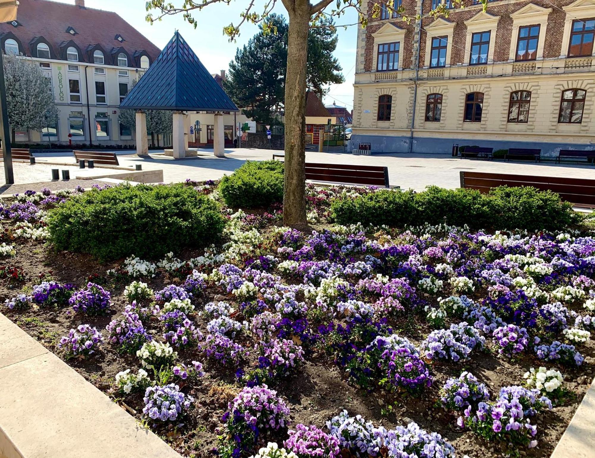 Ciao Lilla Apartman Keszthely Exteriér fotografie